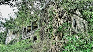 被大自然吞噬的粉嶺廢棄大宅 Abandoned Mansion in Fanling Swallowed by Nature