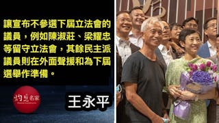 破格思考民主派去留立法會的困局