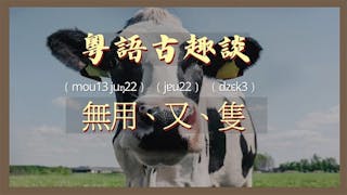 粵語解密：無用、又、隻