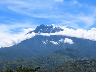 蘭遊世界──婆羅洲考察系列之神山植物園考察篇