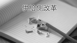 中國「供給側改革」切忌葉公好龍