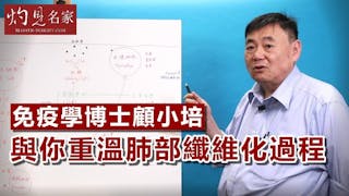 免疫學博士顧小培與你重溫肺部纖維化過程