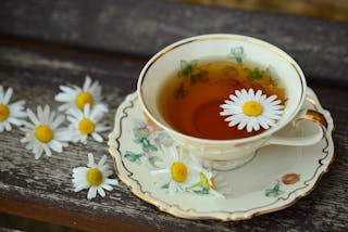 春季養肝要飲菊花茶