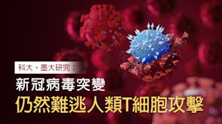 科大研究：人體免疫反應可有效應對Omicron變種病毒