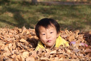 自小開始，協助子女培養面對逆境的能力