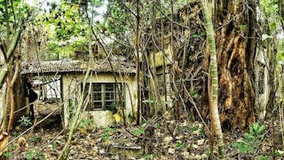 Hugo 探索廢棄村屋 Hugo Explores Abandoned Village Houses