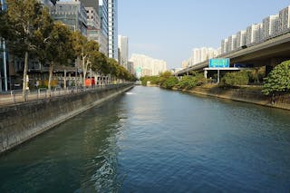 應對極端天氣 港變身「海綿城市」