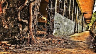 Rocky 探索最猛鬼廢棄學校 Rocky Explores Most Haunted Abandoned School