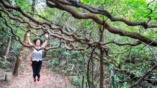 卡門探索「茅坪巨藤」 Carmen Explores Vine Creepers at Mau Ping