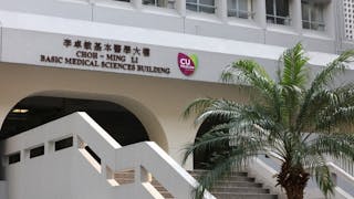 中大獲港府撥款 研發增強免疫力配方 邀集市民共同參與