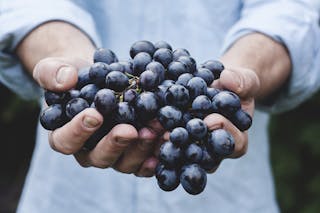 惜食助人