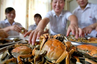 買樓似食大閘蟹 等大造才買