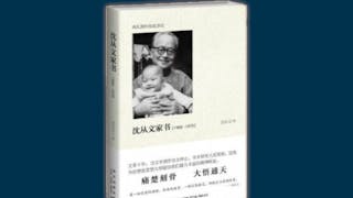 政治灰霾中的文化情懷——《沈從文家書1966—1976》