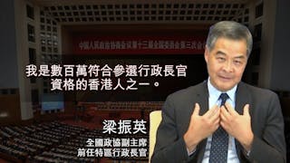 汪洋：支持落實愛國者治港 梁振英：盡力為港為國服務