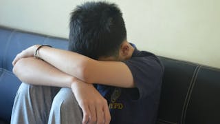 學生中的百分之三十三點三