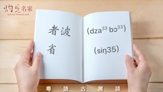 粵語解密：者波、省