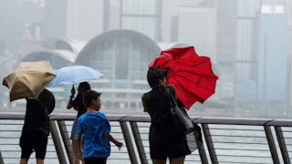 香港颱風：我的甜蜜砂糖回憶和可怕苦茶經歷