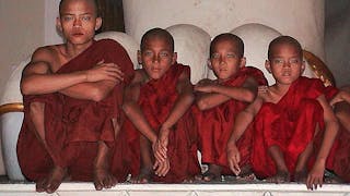 緬甸仰光的年輕學徒僧侶 Young Novice Monks at Yangon in Myanmar