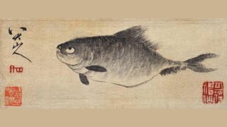 從「鱒魚」到「西瓜」