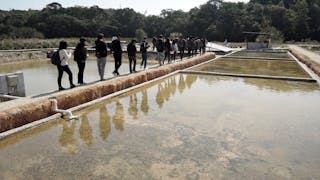 西貢鹽田梓的文化遺產