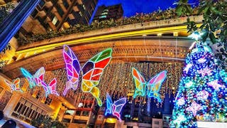 利東街「希望之蝶」”Butterflies of Hope” at Lee Tung Ave