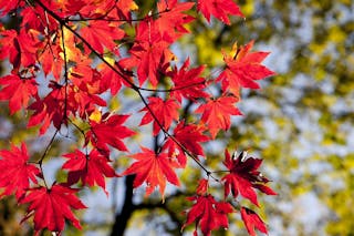 10月份運勢預測﹕將出現一次大震盪