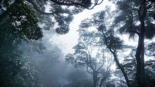 雨中之山頂 The Peak in the Rain