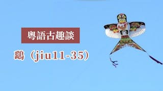 粵語解密：鷂