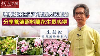 香港蘭藝會會長朱劍虹：考察錦田日本千葉園大花蕙蘭 分享養殖照料蘭花生長心得《辛丑牛年運程》