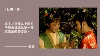 什麼是《紅樓夢》中的樓子花？