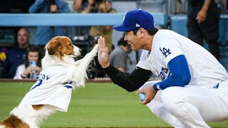 大谷翔平是真MVP？