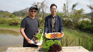 再生農業是可持續糧食和生態系統的鑰匙？本地餐飲巨頭怎樣與農夫攜手發展綠色循環經濟？