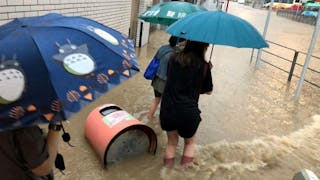 最長黑雨警告 多區水浸如澤國 道路封閉學校停課