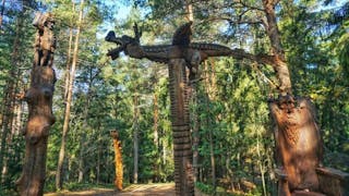 立陶宛的女巫山 Hill of Witches at Juodkrante, Lithuania