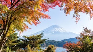 遊富士山