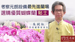 香港蘭藝會會長朱劍虹：考察元朗設備最先進蘭場 選購優質蝴蝶蘭貼士《辛丑牛年運程》