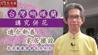 香港蘭藝會會長朱劍虹：台灣蝴蝶蘭講究併花 適合新春家居擺設《辛丑牛年運程》