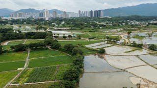 黃煥忠教授：香港農業與城鄉可持續發展