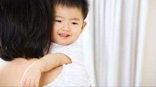 香江歲月──百歲賢婦小傳