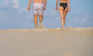 shutterstock_2475455961