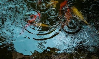 shutterstock_1496784077