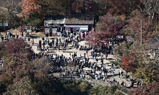 AP25328275410346