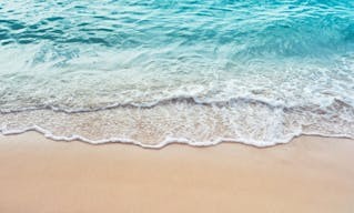 shutterstock_2440231911