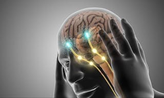 shutterstock_2456346441