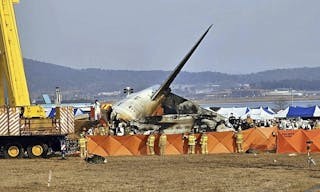 AP24364377911019