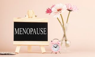 shutterstock_2185176001