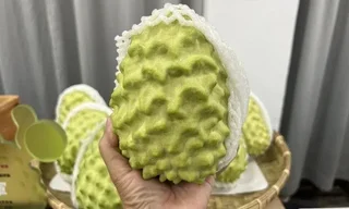 鳳梨釋迦引討論　農民：最大問題是中國課29%稅
