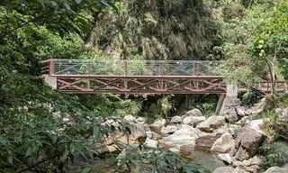 台中蝴蝶谷步道整建後重新開放