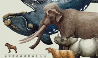 哺乳類王朝正封_工作區域 1