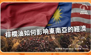 棕櫚油_Thumbnail 3